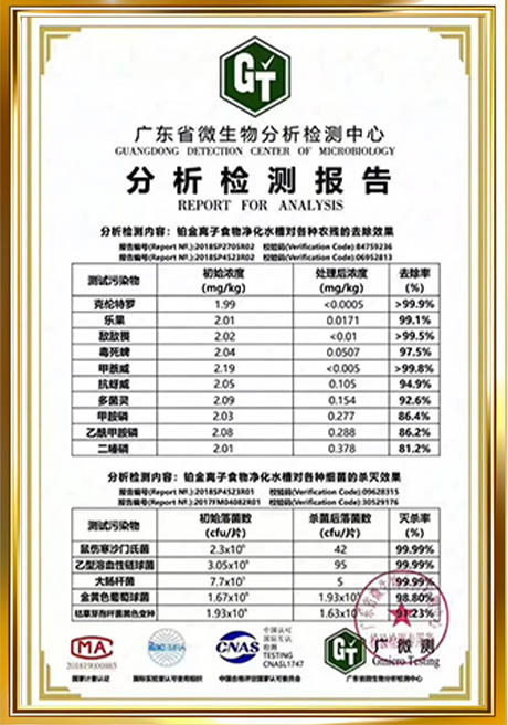 Certificate Of Honor